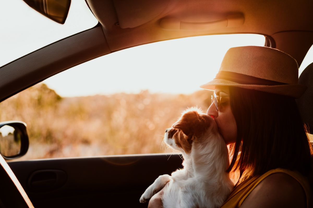 5 Features of Chevrolet Captiva for Pet Owners