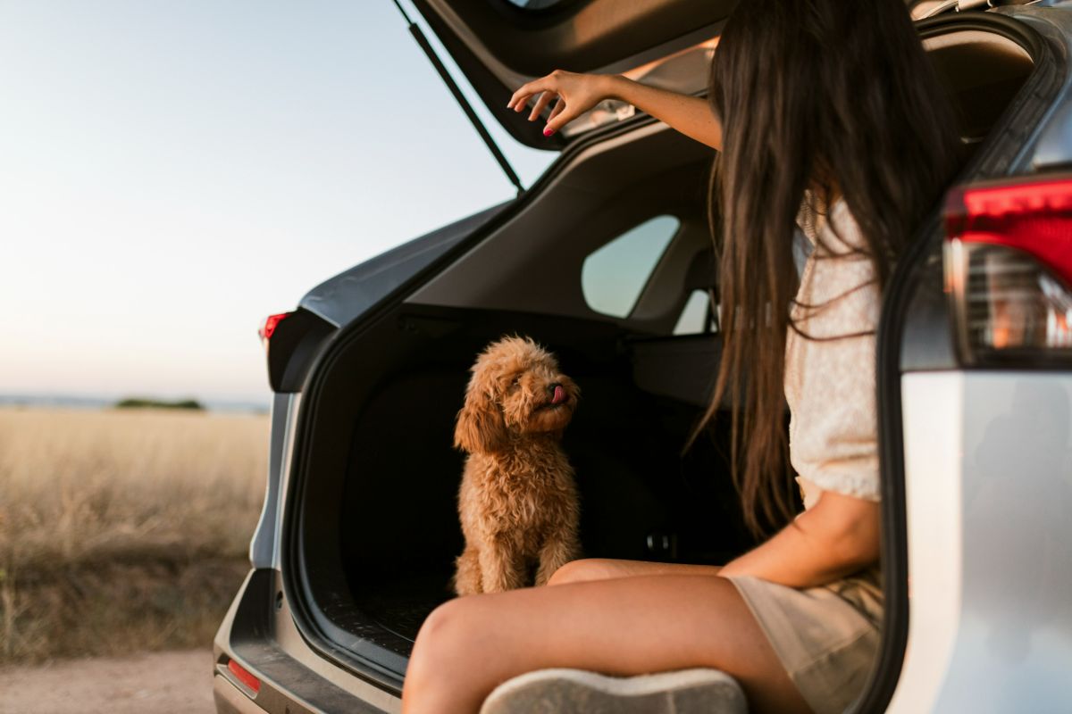 Traveling with Pets: Essential Gear to Pack for Your Chevrolet Road Trip